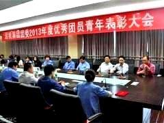 公司召开2013年度优秀团员青年表彰大会