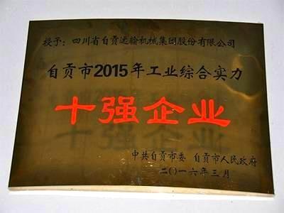 2015年AG亚娱工业十强企业